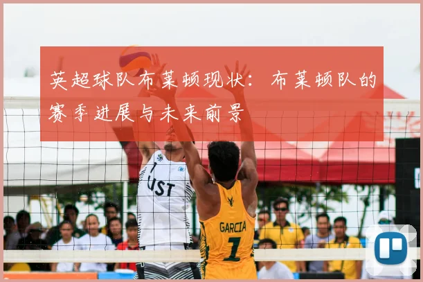 英超球队布莱顿现状：布莱顿队的赛季进展与未来前景